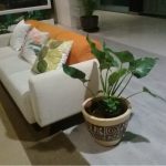 pot gerabah motif papua