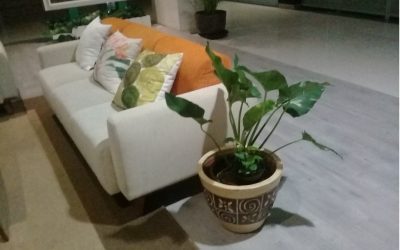 pot gerabah motif papua