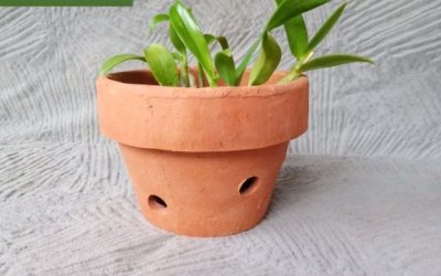 pot gerabah anggrek