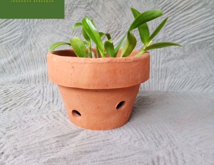 pot gerabah anggrek