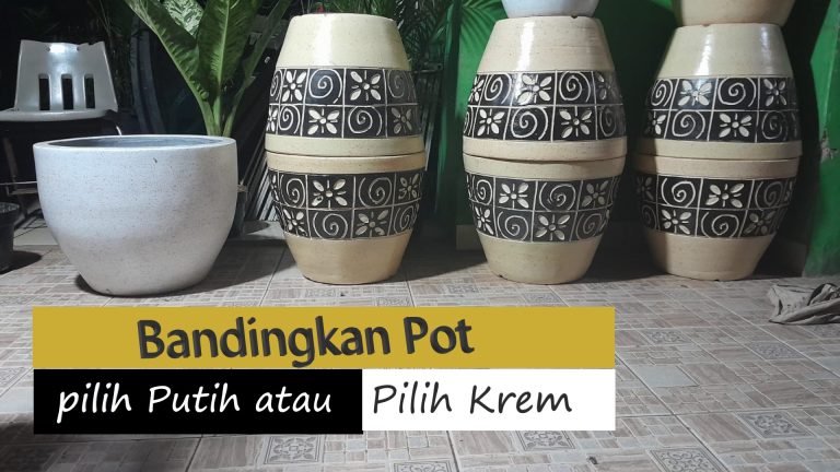POT PUTIH LOMBOK