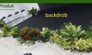 Dekorasi backdrob