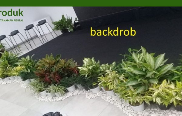 DEKORASI BACKDROB