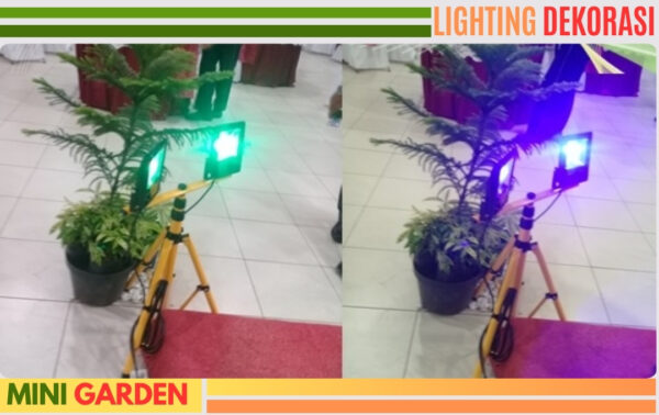 lighting mini garden