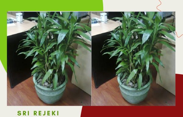 BAMBU SRI REJEKI