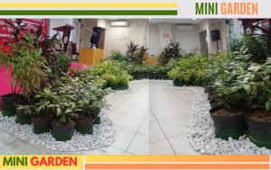mini garden indoor