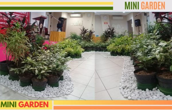 MINI GARDEN INDOOR