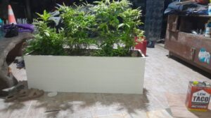 planter box