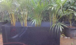 planter box