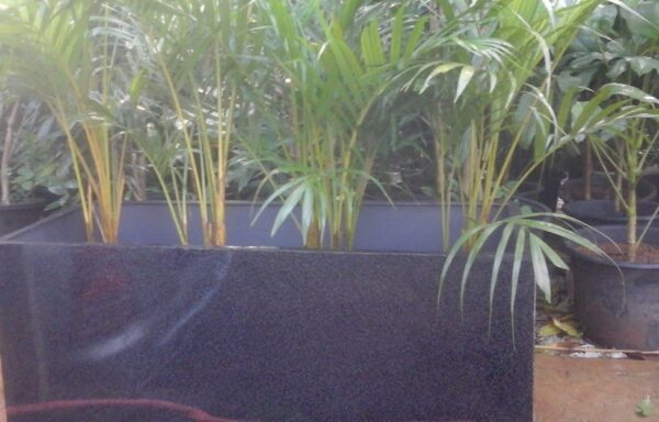 PLANTER BOX WARNA HITAM