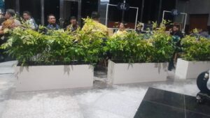 planter box putih