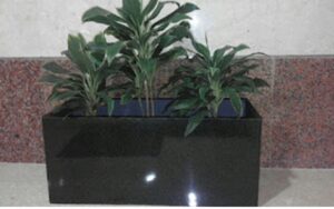 planter hitam