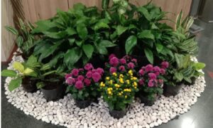 dekorasi bunga rutin