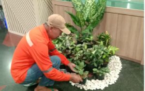 MINI GARDEN DI LOBY