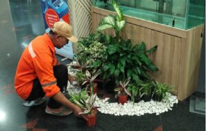 dekorasi mini garden area loby