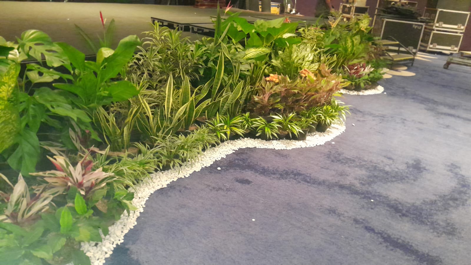 portofolio mini garden