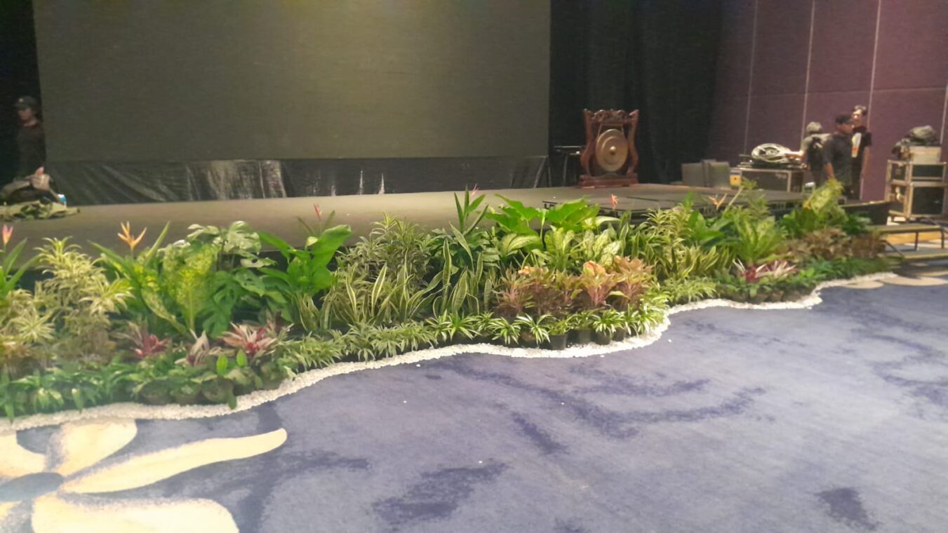 mini garden tanaman hidup