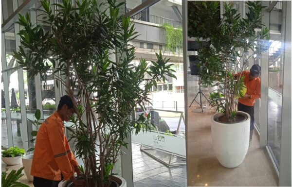 song off jamaica 2 meter