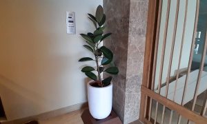 pot kapsul putih 50cm