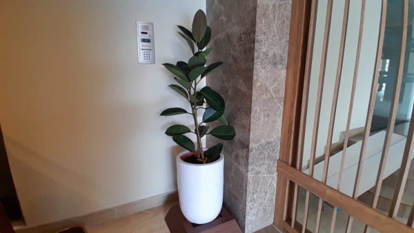 pot kapsul putih 50cm
