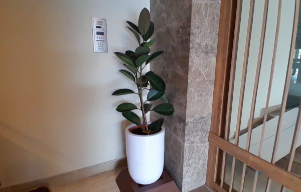 POT PUTIH KAPSUL 50CM