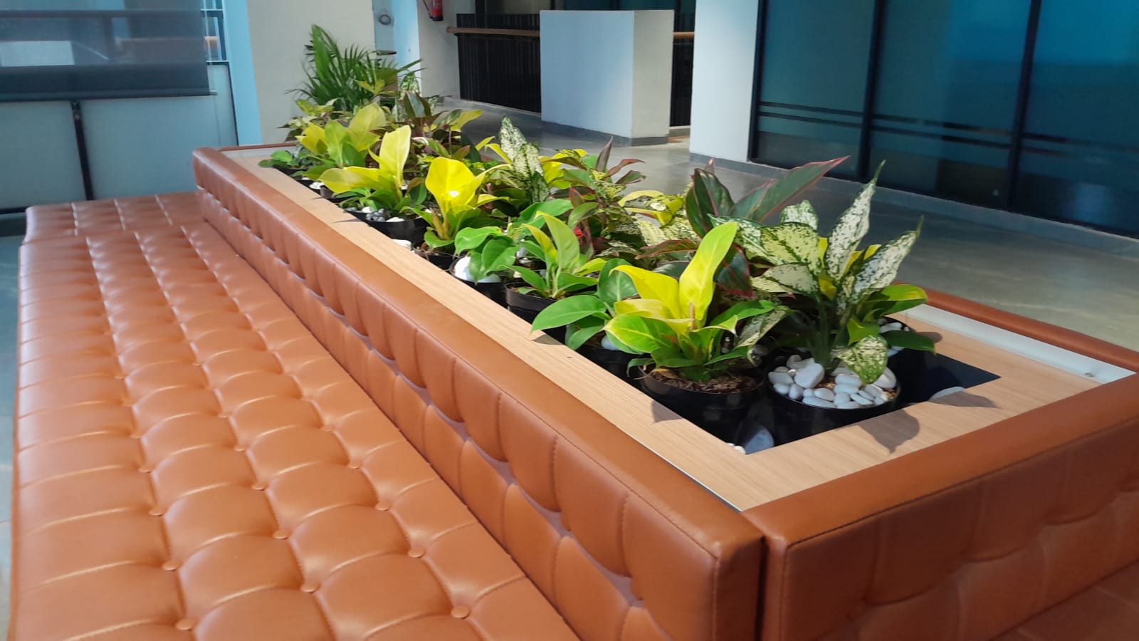 TANAMAN KECIL PLANTER BOX