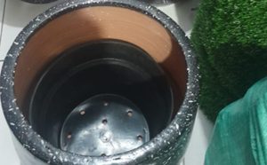pot hitam totol