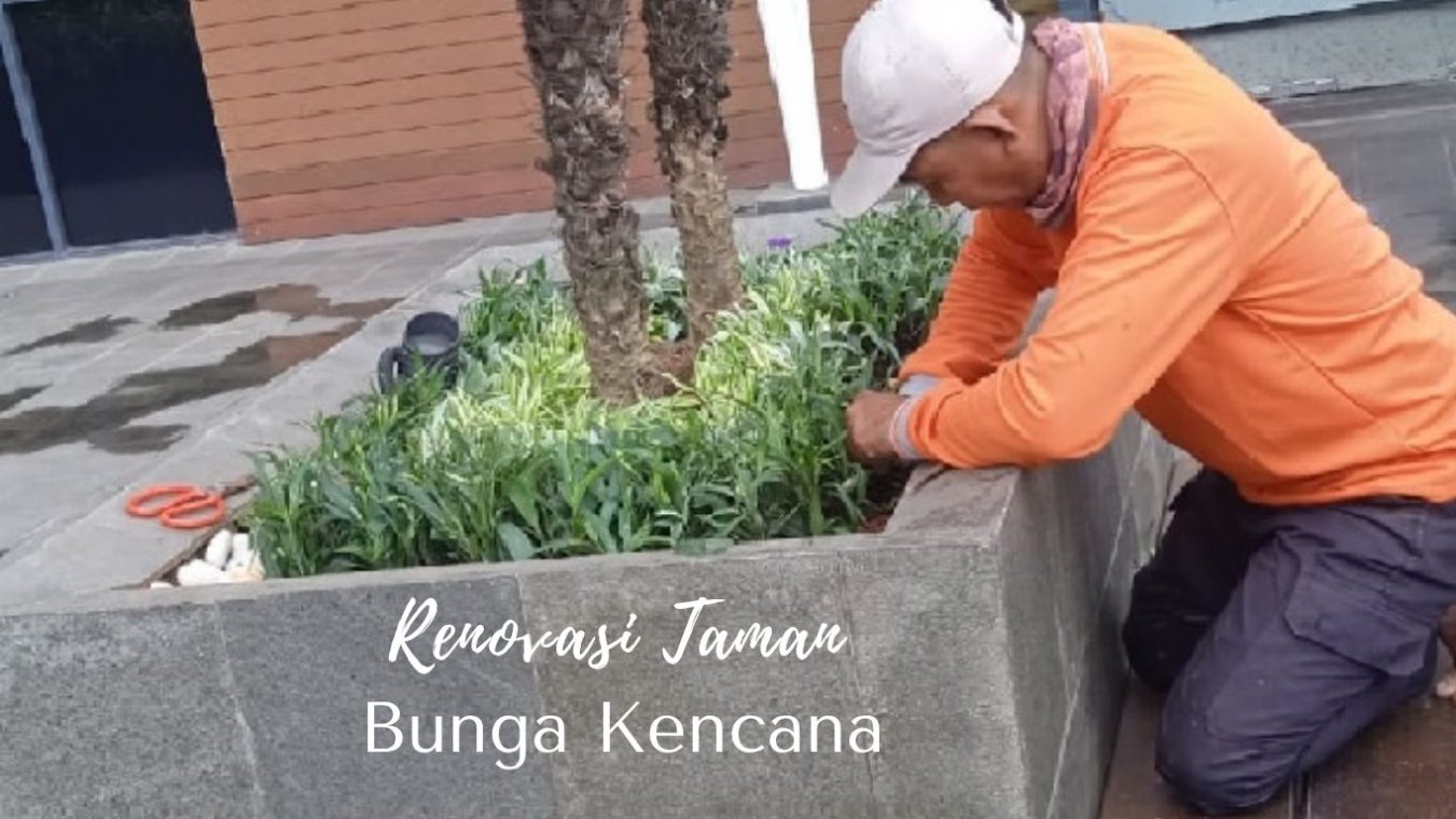 bunga kencana