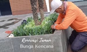 bunga kencana