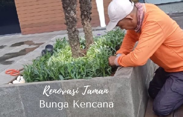 BUNGA KENCANA