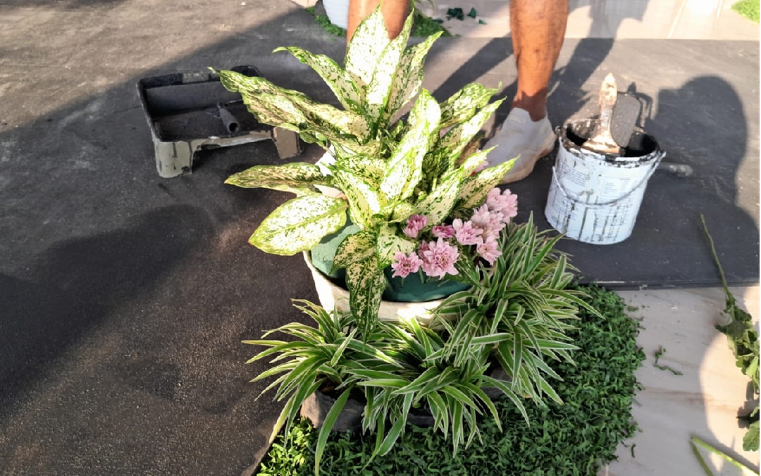 KOMBINASI TANAMAN HIDUP FLORIST