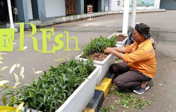 RENOVASI TAMAN
