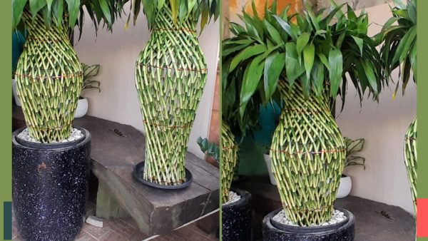 bambu hoky bentuk guci