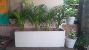 planter box