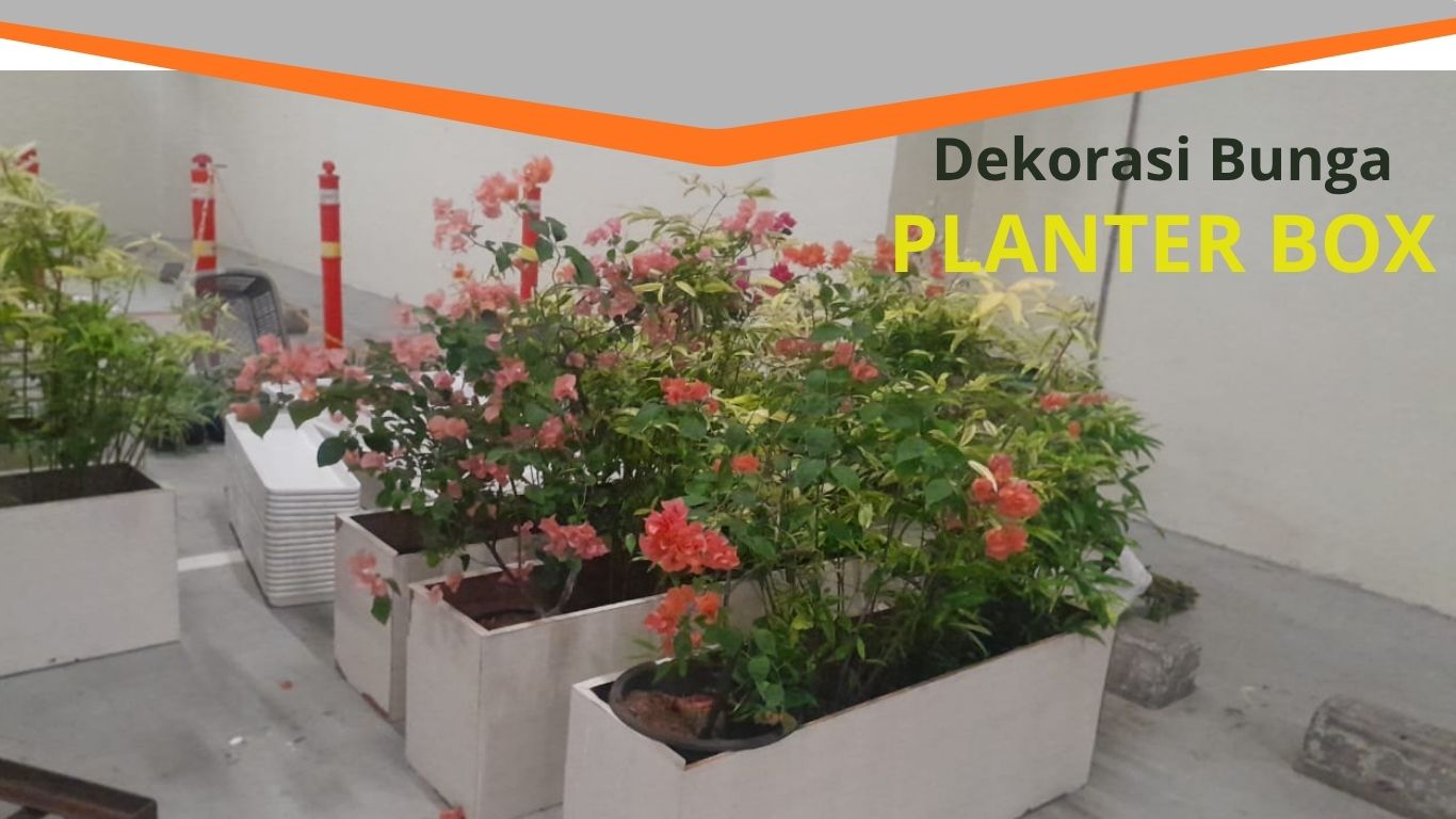 PLANTER BOX TANAMAN BOUGENVILLE
