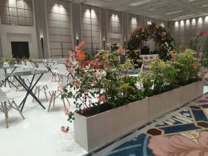 planter box bougenville