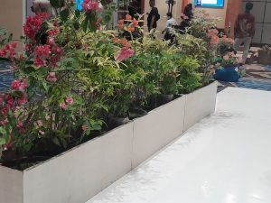 planter tampak dekat